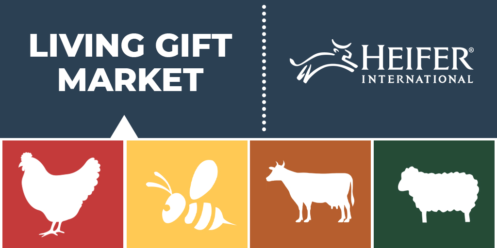 Heifer's tweet photo. Ending hunger and poverty is no small mission, but making a difference is easier than you think!

Bring your church, school or group together by hosting a Living Gift Market and provide families in need a way to transform their lives. Learn more → https://t.co/u7LKwirmqW https://t.co/dNCIKt8Gct