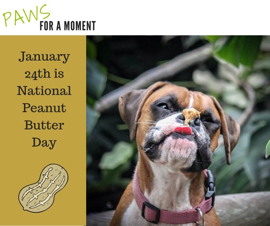 Celebration of PAWS (@Celebrate_PAWS) / Posts / X