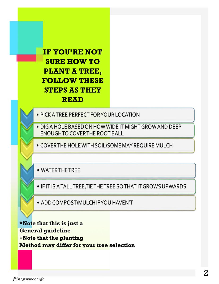 Bangtanmoonlig2's tweet photo. Army! We are launching the
'Plant a tree chain' campaign🌱
in honour of Jung Hoseok.Find out more on how to participate in this #ArmyTreeChain below⬇️.
#TreesForHope #JhopeBdayProject @BTS_twt https://t.co/fkK9IALFlj