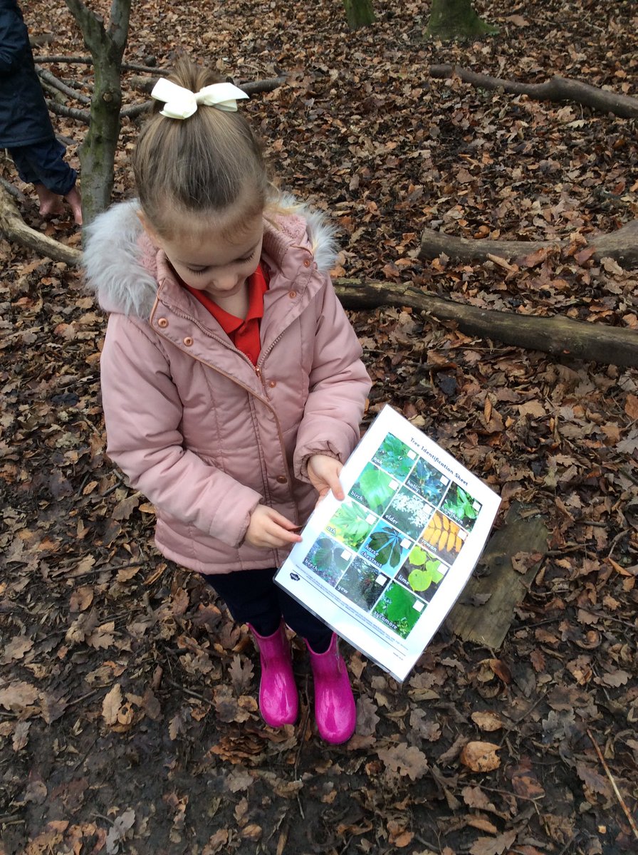 AshKnotty's tweet photo. Our Reception class had a great time at Forest School this week. They learnt about trees; that drop their leaves and how some keep their leaves right through winter and are called evergreen.
#ForestSchoolLearning
#Evergreen https://t.co/Nw2WFnJNNr