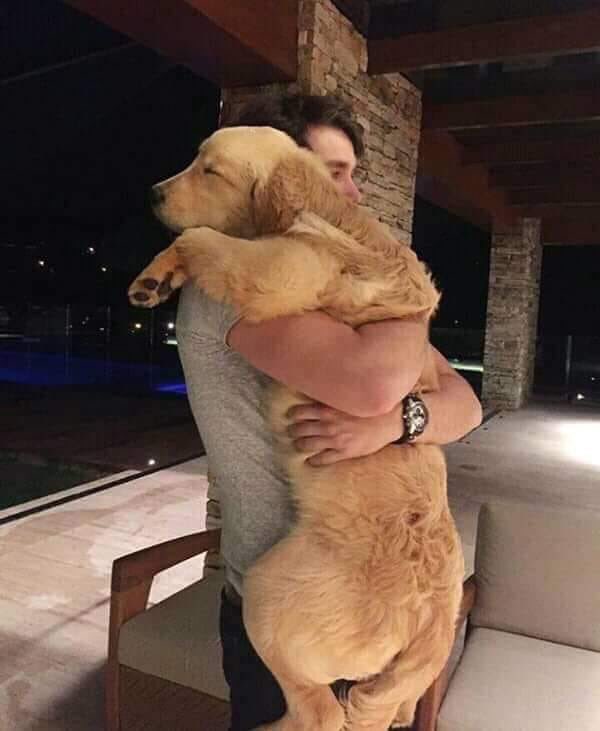 rhochicristaldo's tweet photo. El amor más sincero 🥺❤️ https://t.co/5uvkAVw5h6