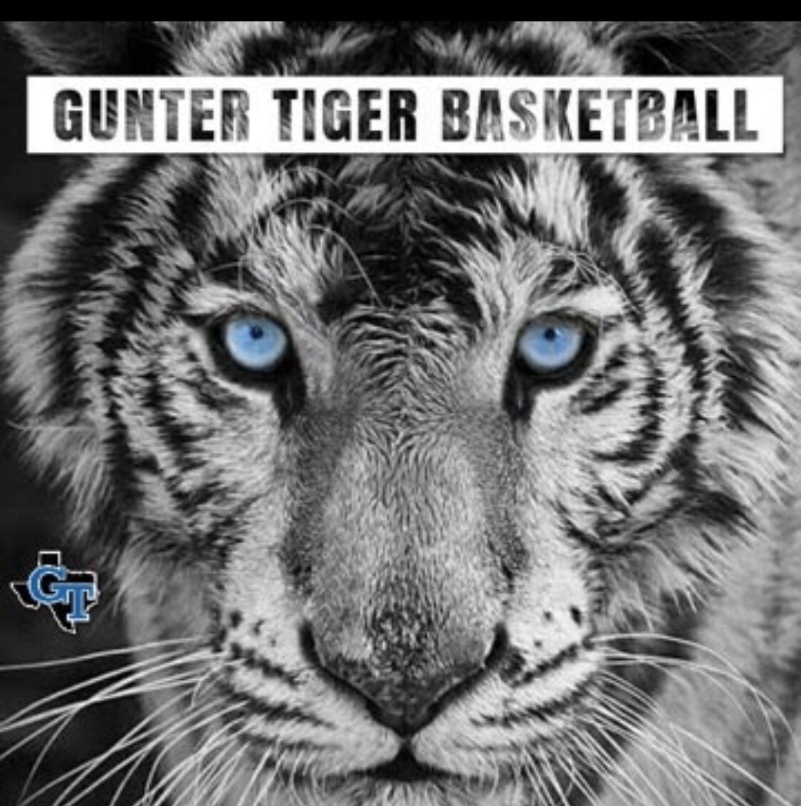 GunterTexas tweet media