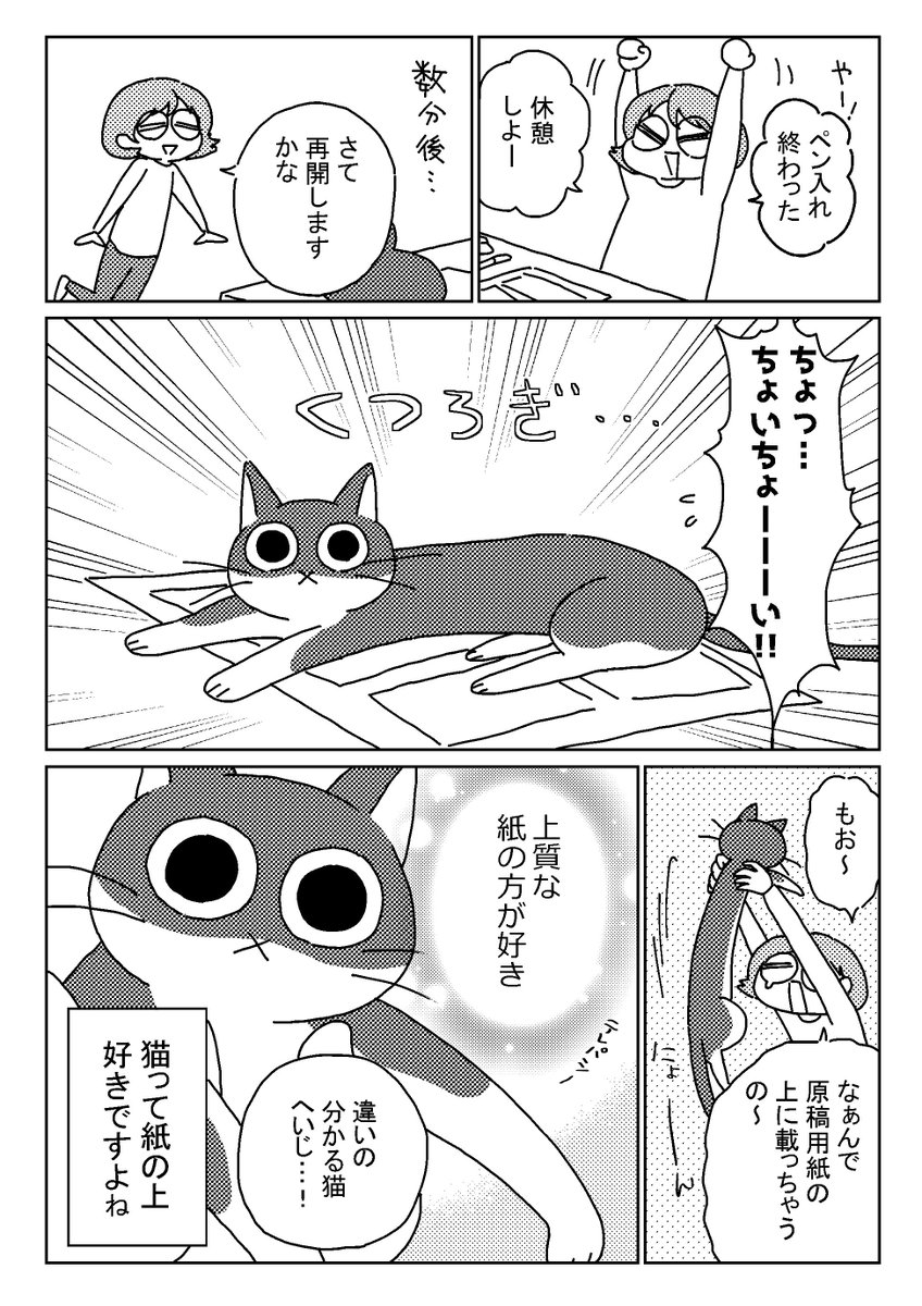 原稿の上に乗りたい猫 
