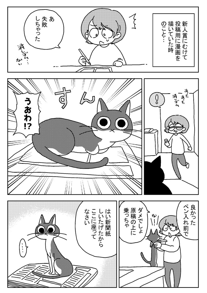 原稿の上に乗りたい猫 