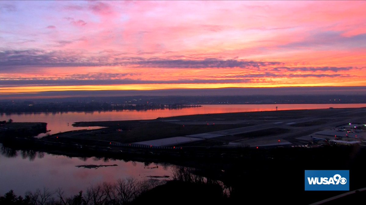 Howard Bernstein tweet media