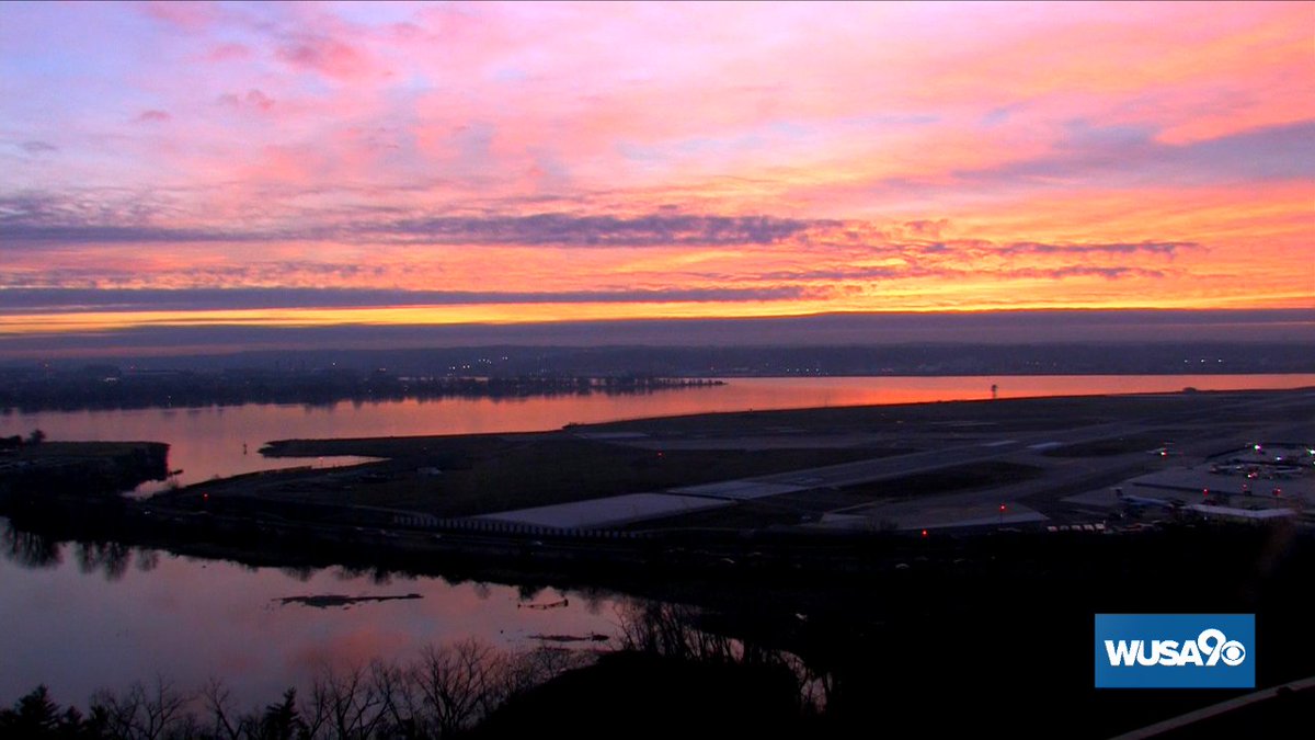 Howard Bernstein tweet media