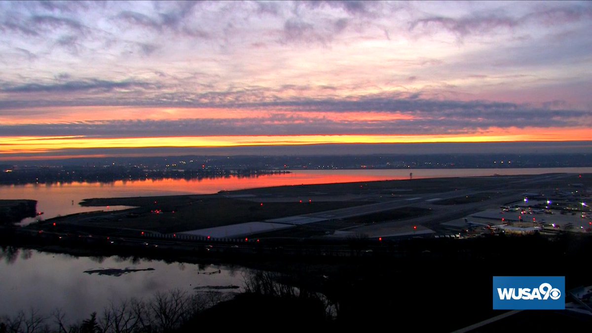 Howard Bernstein tweet media