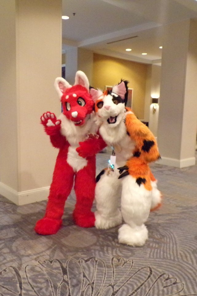 cyanthetortat's tweet photo. me n @TBoneWolfDog!! Throwback to #ccfc2020 #FursuitFriday
✂️: @SlateSlothSuits
📷: i forget aaa;;; pls tell me if u took this pic https://t.co/XTW6Rno5AC https://t.co/KfAmXAtJx6