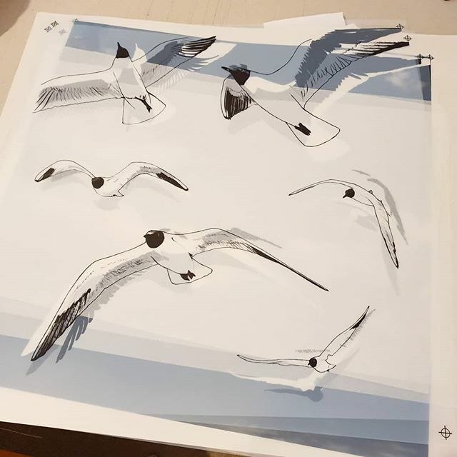 fionahprints's tweet photo. Acetates for my new print have arrived. Scroll back through my feed and you'll see I started this back in May last year! Whoops! Anyway, hopefully will go on screen next week and I'll make a start at printing it. I usually hand draw most of my layers but… https://t.co/WlDFlNtMEJ https://t.co/fiFWsITSPc