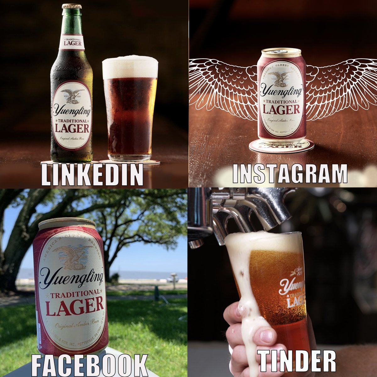 yuenglingbeer's tweet photo. Drink a beer that can do it all. https://t.co/Zu8ZvoV6cs