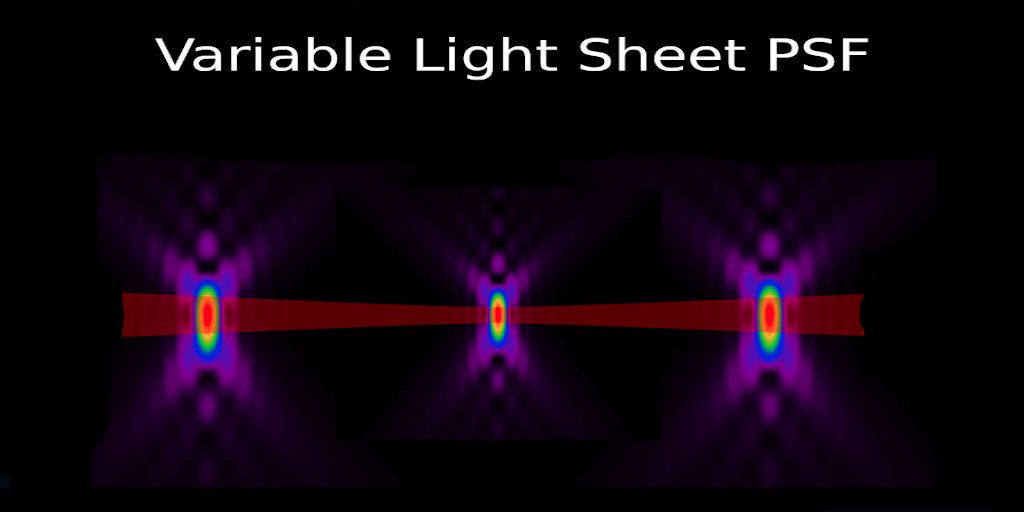 svi_huygens's tweet image. Huygens unique Light Sheet variable PSF modelling ensures high quality #Lightsheet image #deconvolution with multiview fusion. No need for bead images. Join FUSER webinar svi.nl/webinarinvitat…
#pointspreadfunction #lightsheetmicroscopy.