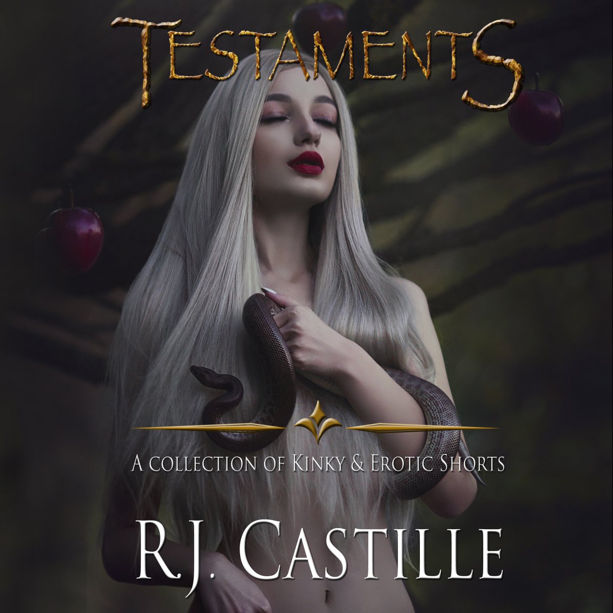 RJCastille's tweet photo. 🔥Testaments: A Collection of Kinky &amp; Erotic Shorts by R.J. Castille🔥
Amazon US: https://t.co/fNv4KFmPGB
Audible US: https://t.co/plIsBOZDoh
Amazon UK: https://t.co/crzXGTmMvb
Audible UK: https://t.co/3OZpNOy9Bt
The Bible characters like you've never read them before! https://t.co/jgx0Qc4rQT