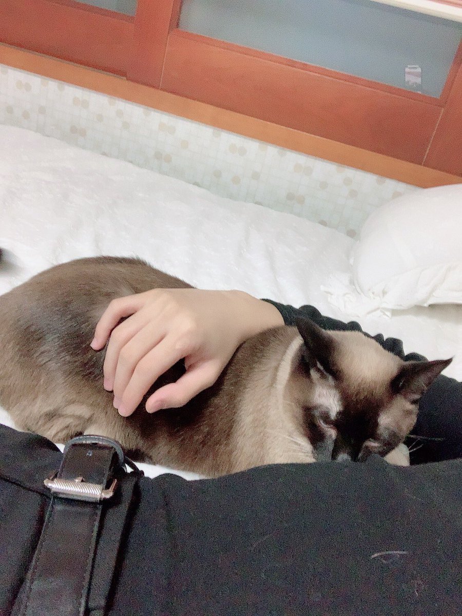[#산] 별이와 함께 휴식중❤️
에이티니도 충분한 휴식을 가져야 해요❤️
오늘도 많이 사랑해요😍
#ATEEZ #에이티즈