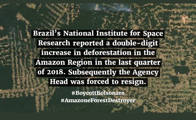 AneraoKailash's tweet photo. #Bolsonaro govt passed a new law providing sweeping amnesty to past land grabbing in Amazon Forests- lungs of the world & a biodiversity hotspot. He is also proposing a bill which will open indigenous land to mining. #BoycottBolsonaro as he is an #AmazonForestDestroyer @PMOIndia https://t.co/EmWMuqqP8L