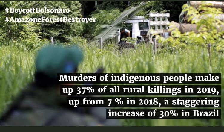AneraoKailash's tweet photo. #Bolsonaro govt passed a new law providing sweeping amnesty to past land grabbing in Amazon Forests- lungs of the world & a biodiversity hotspot. He is also proposing a bill which will open indigenous land to mining. #BoycottBolsonaro as he is an #AmazonForestDestroyer @PMOIndia https://t.co/EmWMuqqP8L
