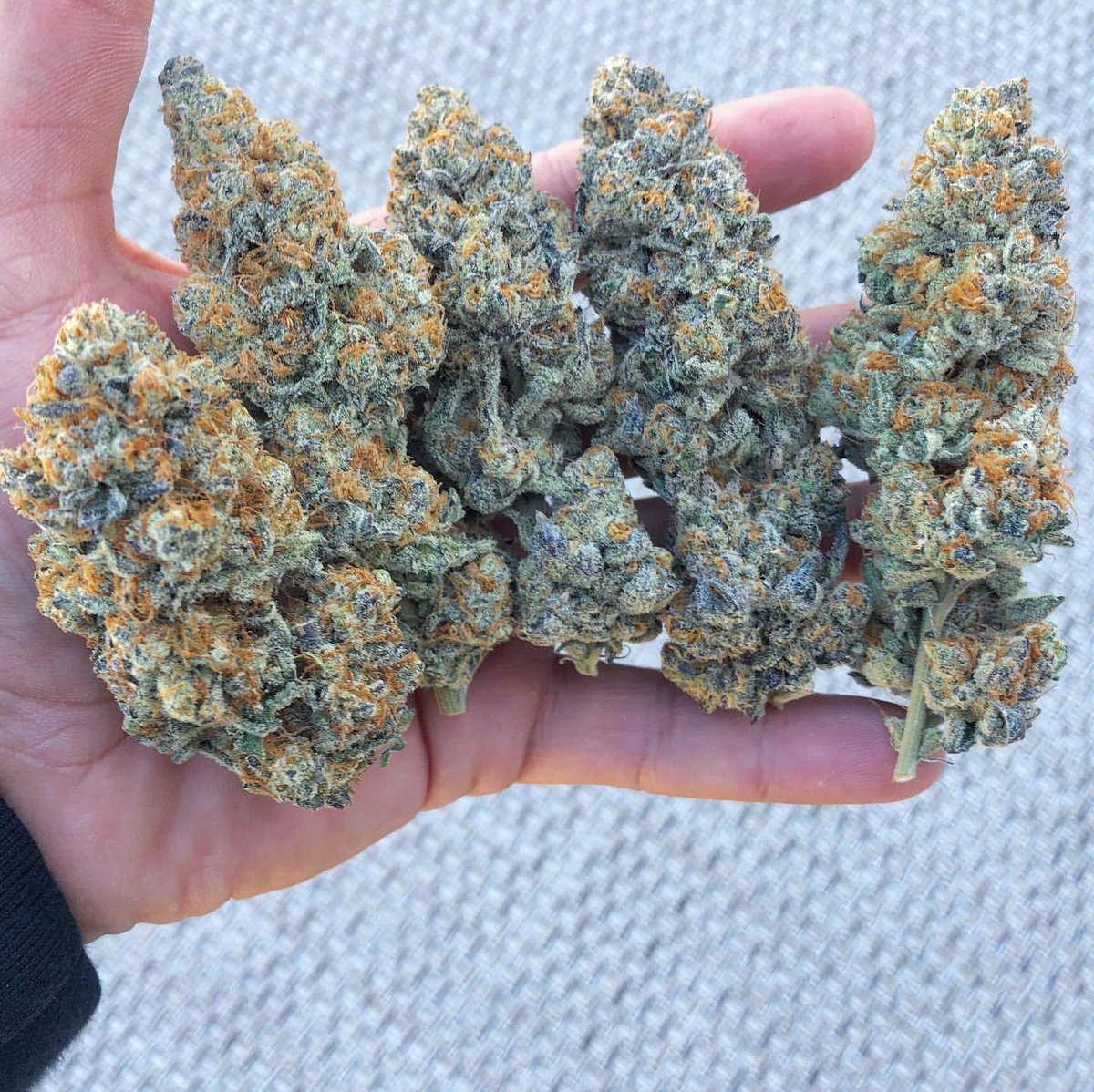 Good morning and happy Friday to you all

#legalizeit #cannabisculture #stoner