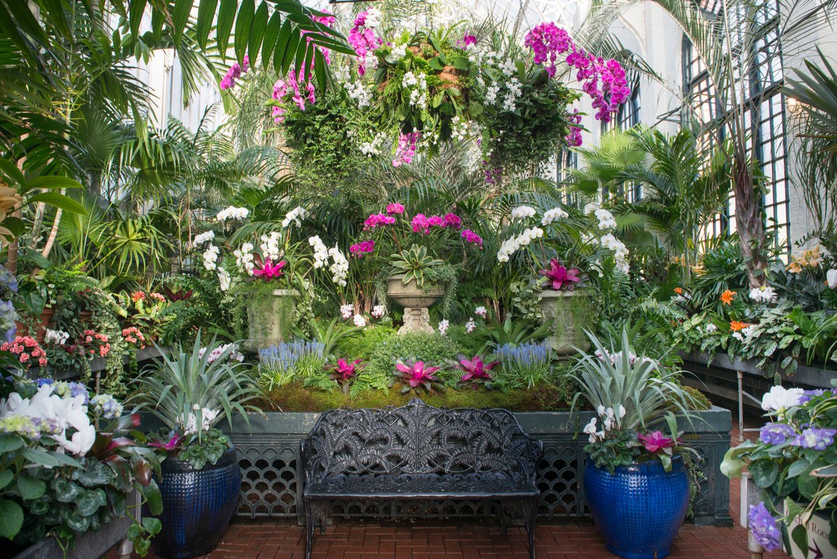 BiltmoreEstate's tweet image. On a cold winter day, #Biltmore's Conservatory can be a much-needed warm retreat! Indoors you'll find a cool house, hothouse, and orchid house. The total heated space under glass is over 7,000 square feet — quite the exotic escape.⁠
