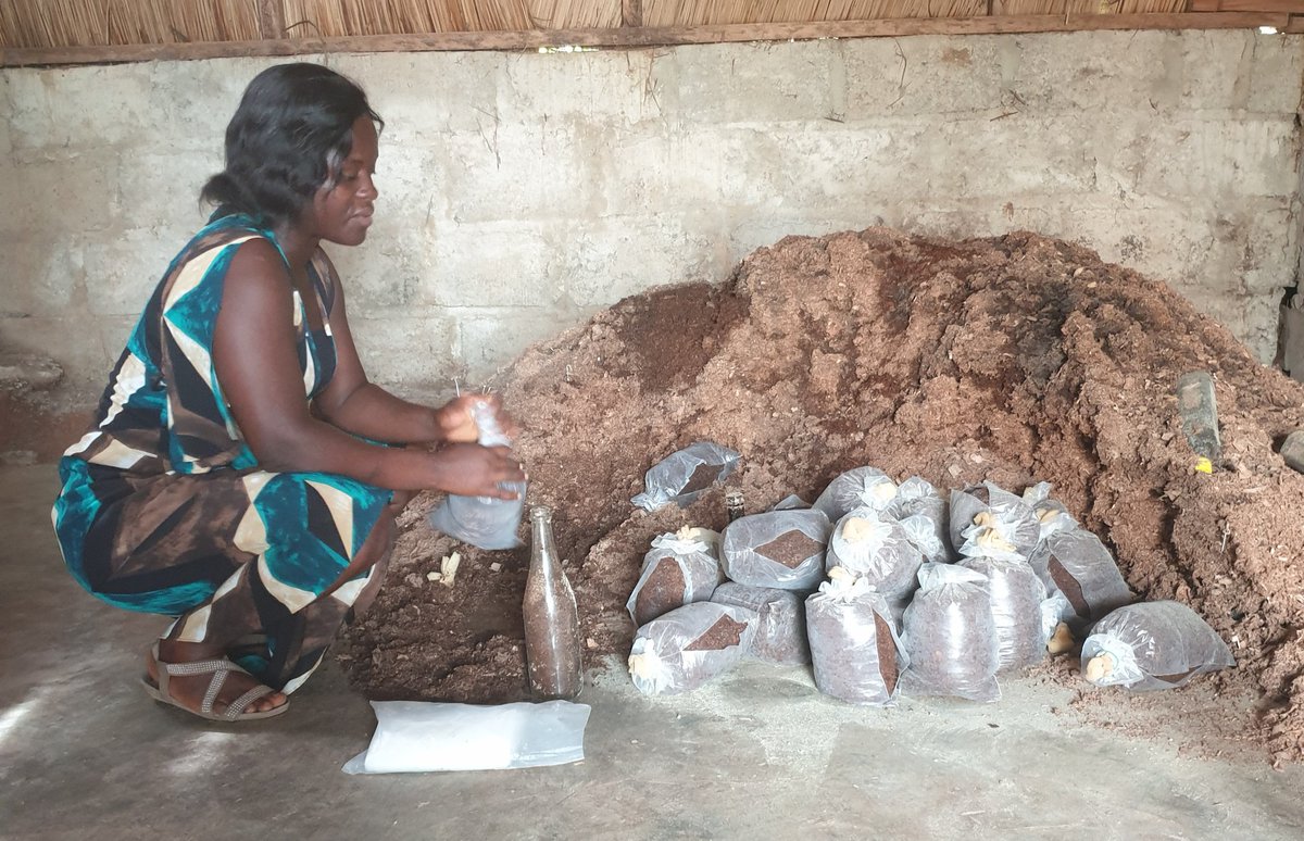 llysa200's tweet photo. "I feel very fulfilled 😊. It was a big headache for me. I wasn't sure of what I was going to do after school. I feel very settled now. I am building two more rooms to expand my farm." #organicmushrooms #YoungAfricaWorks #womenleadingforjobsingh @Camfed #CAMAeffect https://t.co/osnXtafsK1