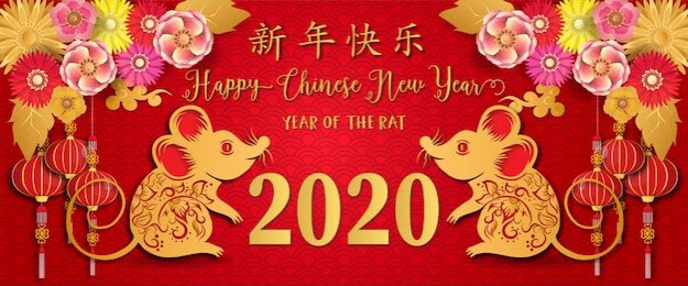 sunshinejiajia's tweet photo. Happy Chinese New Year!#2020#year of the rat# https://t.co/zQJl2DYRxZ