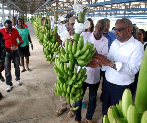 GibszZZz's tweet photo. Nan 14 jou, prezidan @moisejovenel pra l gen 3 zan.

Ede m mande l:
Kot kouran 24 sou 24 la?
Kot jaden bannan n la?
Kot teleferik la?

Kò m n ap mande jistis ak transparans, tou mande l kot LAJAN

👇🏾👇🏾
#Agritrans
#Dermalog
#Sofidai
#Betex
#KaravànChanjman
#Comphener
#Petrocaribe https://t.co/zq63d9gn8h