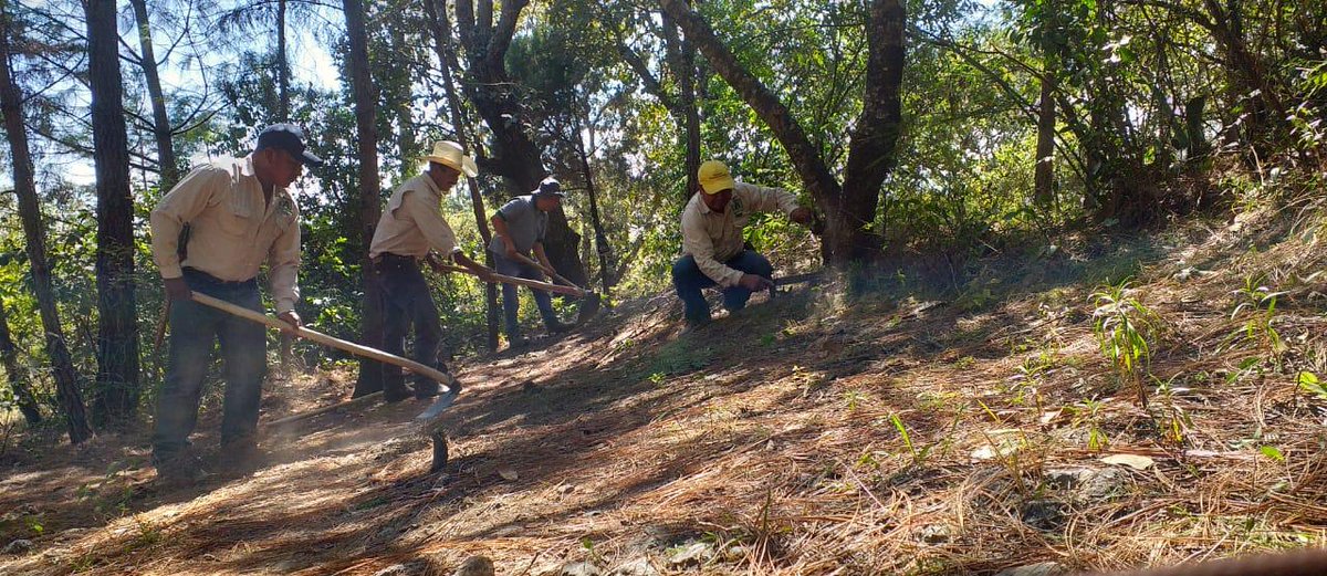 CONAPgt's tweet image. #Guardarrecursos de #ConapNoroccidente realizaron mantenimiento de la ronda #CortaFuego del Parque Regional Municipal Reserva de Manantiales, Huehuetenango; en seguimiento a las actividades planteadas en el Plan de Prevención y Control de Incendios Forestales en el #ÁreaProtegida