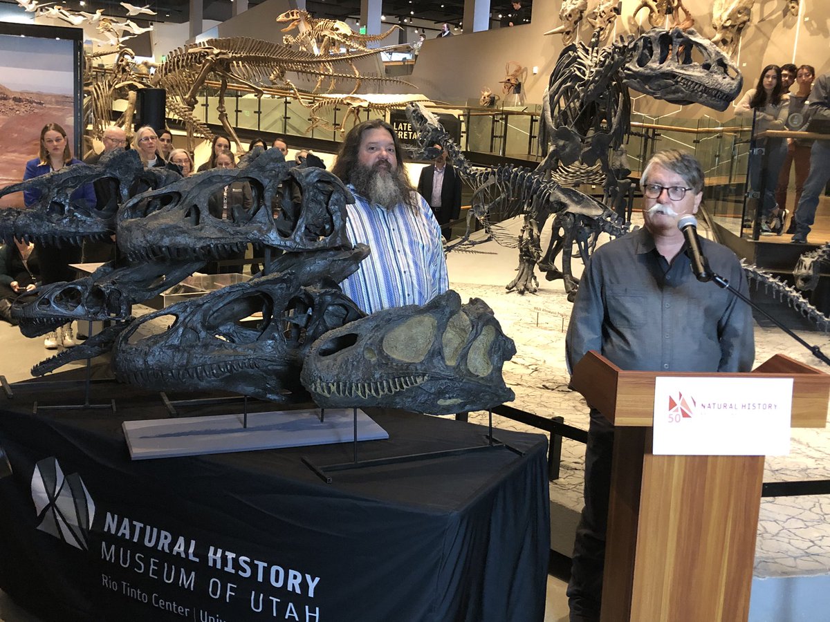 Derek_Photog's tweet image. Paleontologists speak at press conference about a newly named dinosaur Allosaurus jimmadseni @NHMU this morning #KSLTV