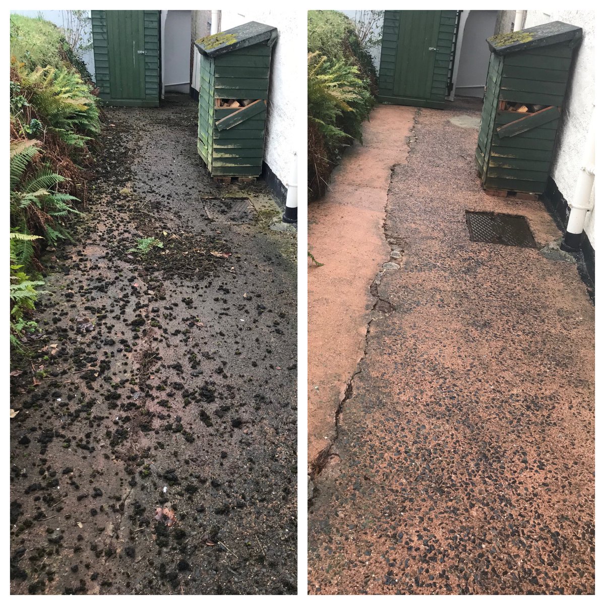 DevonGardenSolutions tweet media