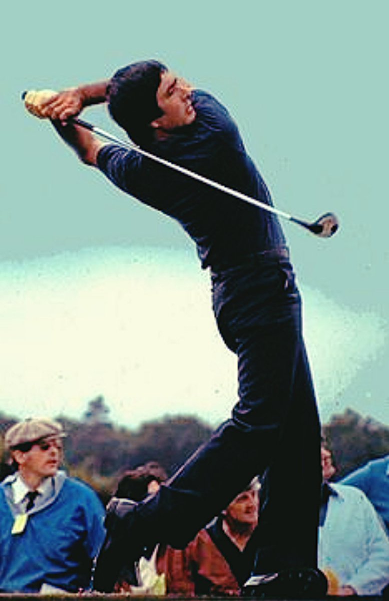 doglegpar3's tweet photo. https://t.co/yqzKxyJ016