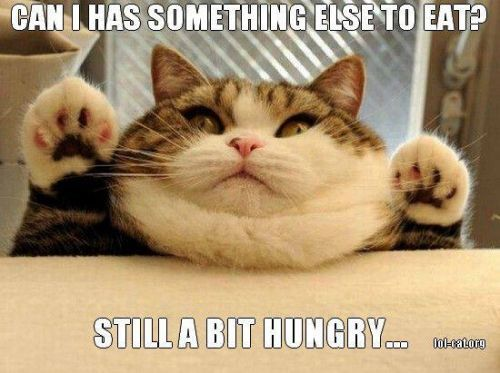 How I feel after eating a bowl of cereal for breakfast. #emptycalories