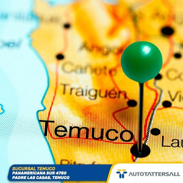 AutoTattersall's tweet photo. ¿Buscas un vehículo? ¡Visita nuestra sucursal en Temuco y llévate el tuyo!

#autotattersall #chile #autosusados #autosusadoschile #autotattersallconcesionarios #concesionarios #autotattersallchile #revisionesanuales #revisióntécnica #homologaciones https://t.co/1BU9xrEK2Q https://t.co/kHCRtiyrk7