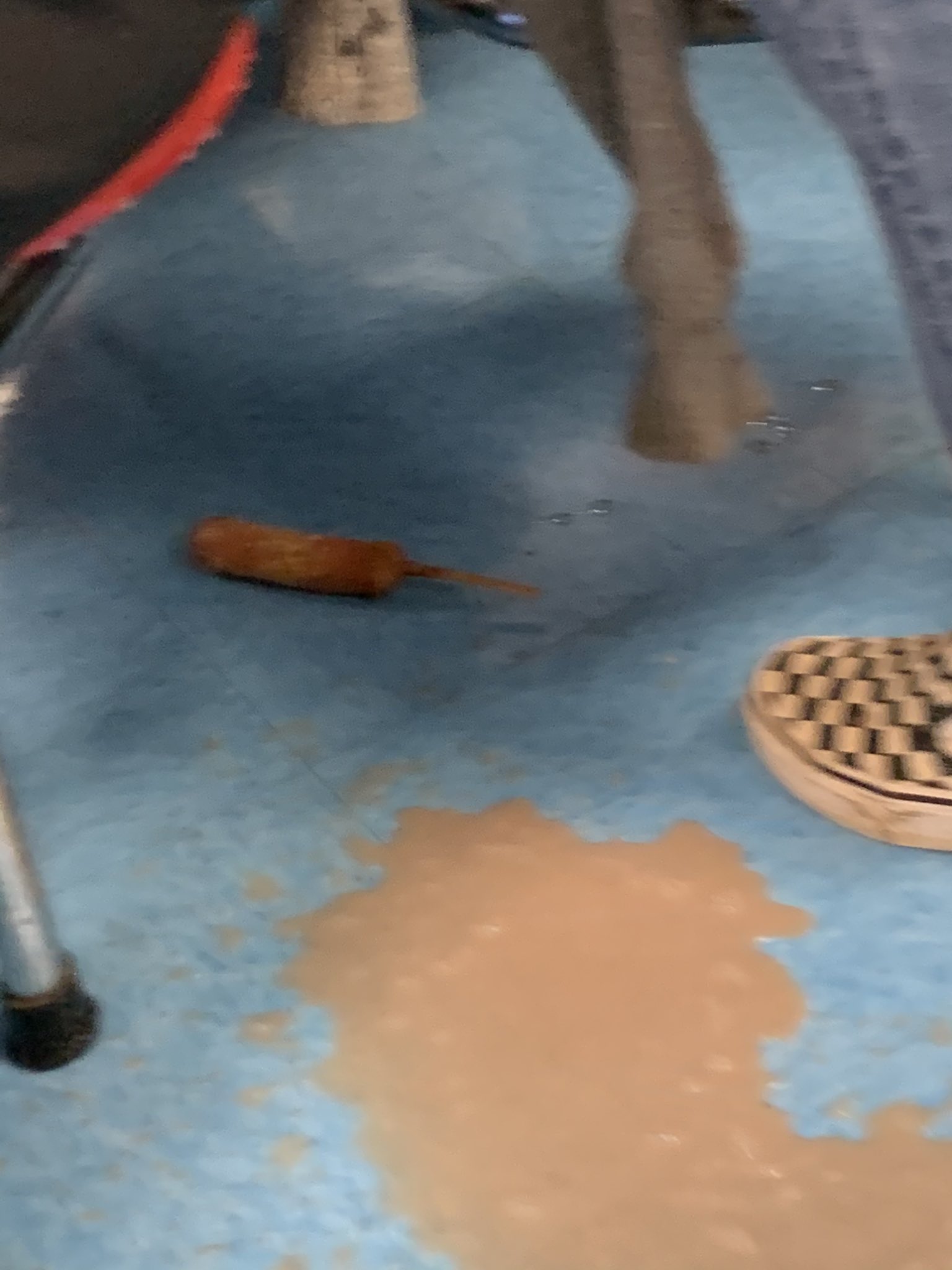 Special Splat on Twitter: