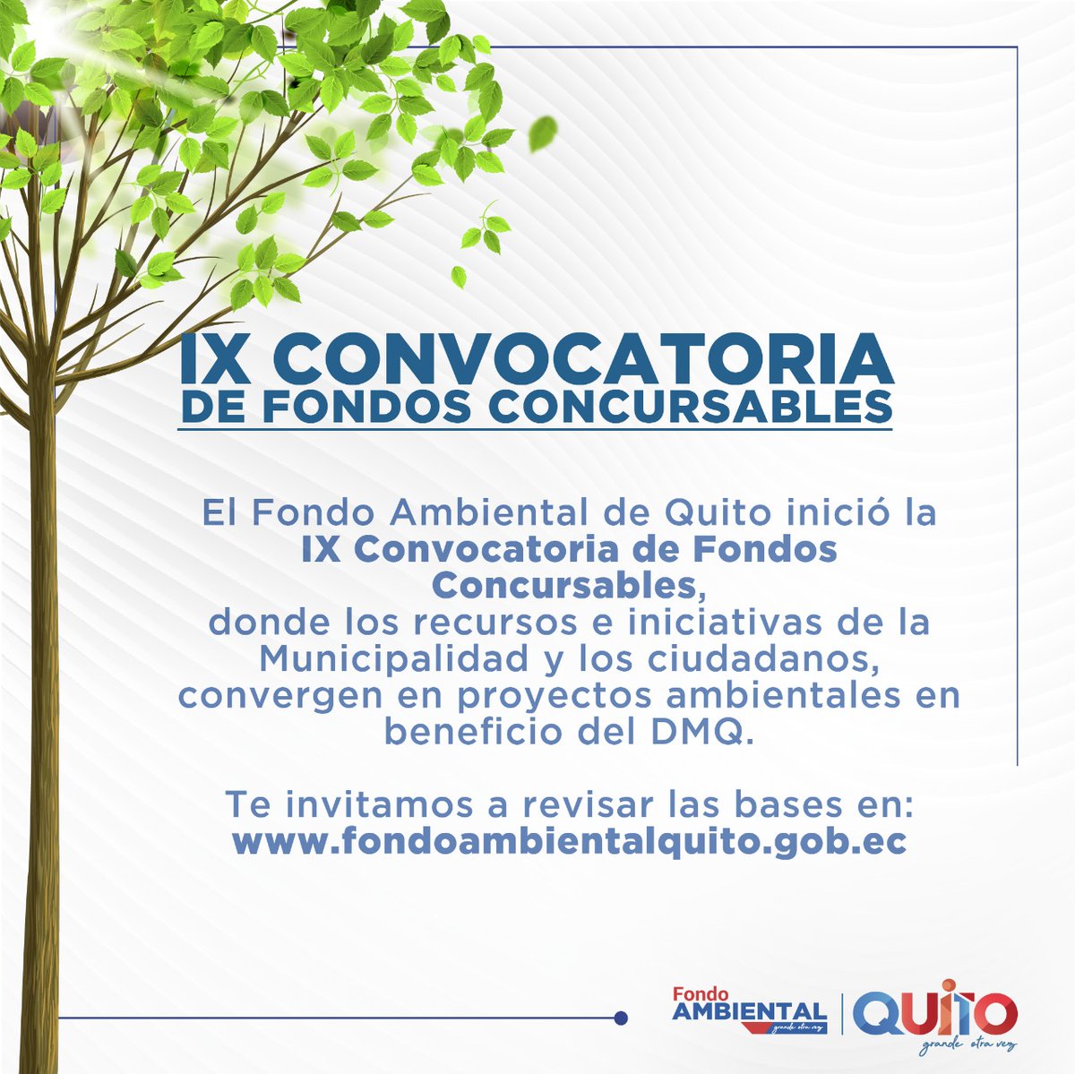 El Fondo Ambiental de Quito inició la IX Convocatoria de Fondos Concursables por un #QuitoVerdeOtraVez. Te invitamos a revisar las bases en fondoambientalquito.gob.ec/fondos-concurs…. Trabajamos por un #QuitoSostenible