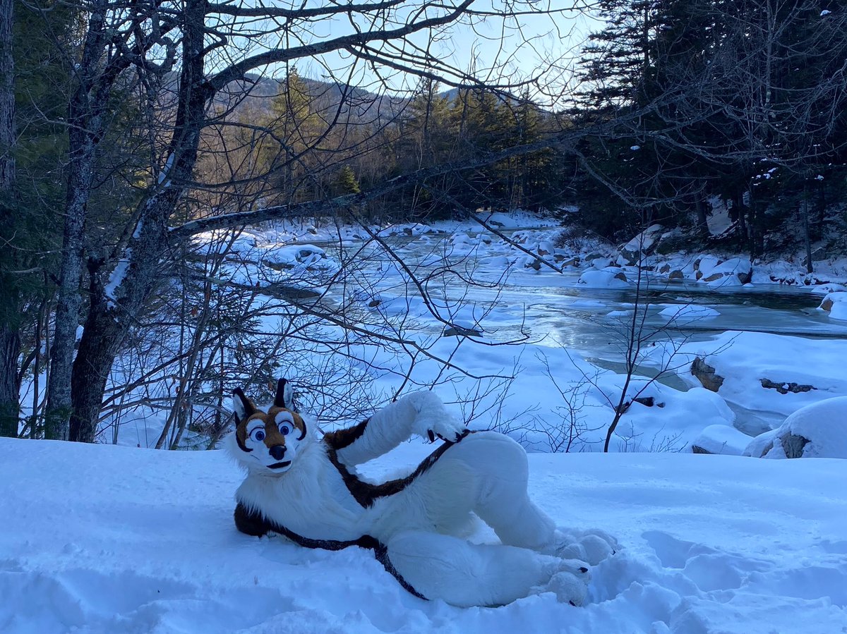 Oh hai #FursuitFriday