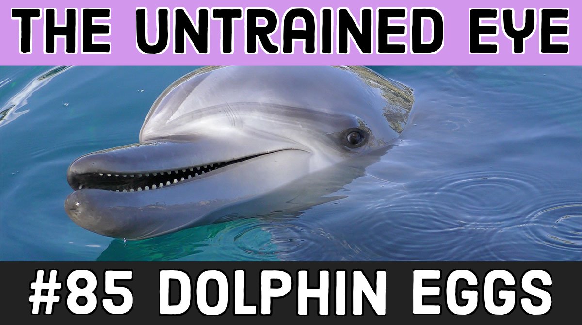 The Untrained Eye tweet media