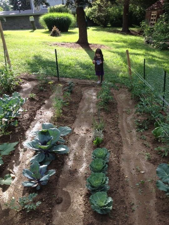 RakovanMiss's tweet photo. I provide free agricultural consulting services to residents and nonprofits to help people learn to feed themselves and keep toxins out of their food💚 https://t.co/EL3dhQlbfu