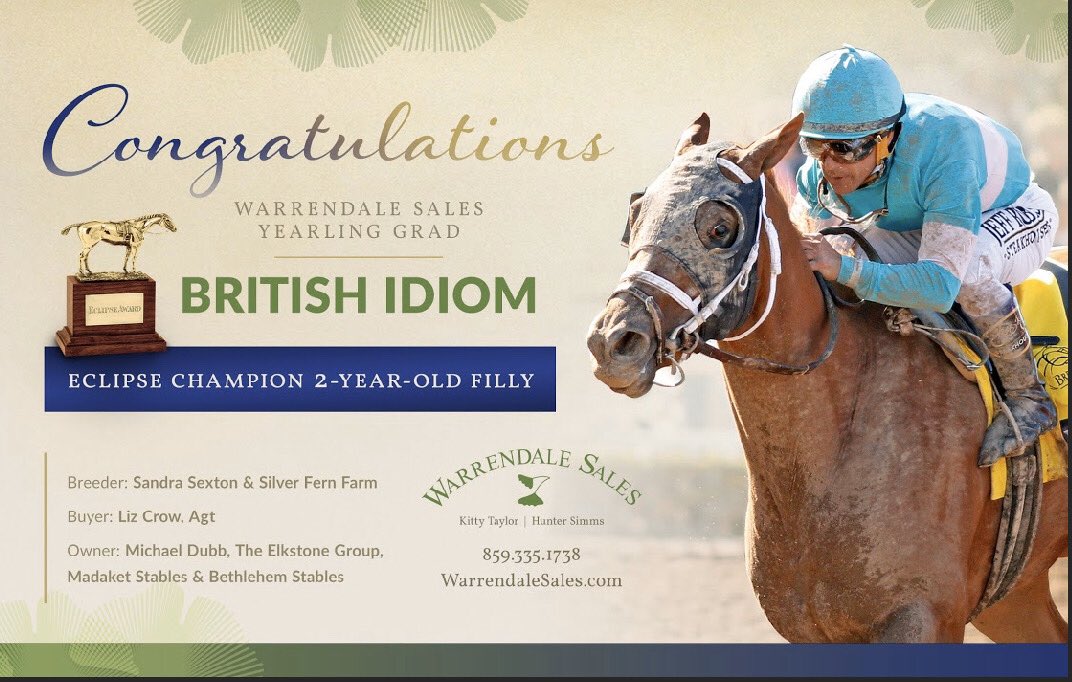 WarrendaleSales's tweet photo. Congratulations British Idiom, winner of the Eclipse Champion 2-Year-Old Filly! Bred by Sandra Sexton and Silver Fern Farm. This filly has come a long way from being a  $40,000 purchase by @ebcrow11 at @fasigtipton October sale. Congratulations to all connections! #warrendalesold https://t.co/9ZLPnVOJvI