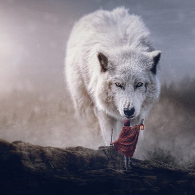 iq_dragon's tweet photo. #NewProfilePic https://t.co/Sw3Uvwz5Gd