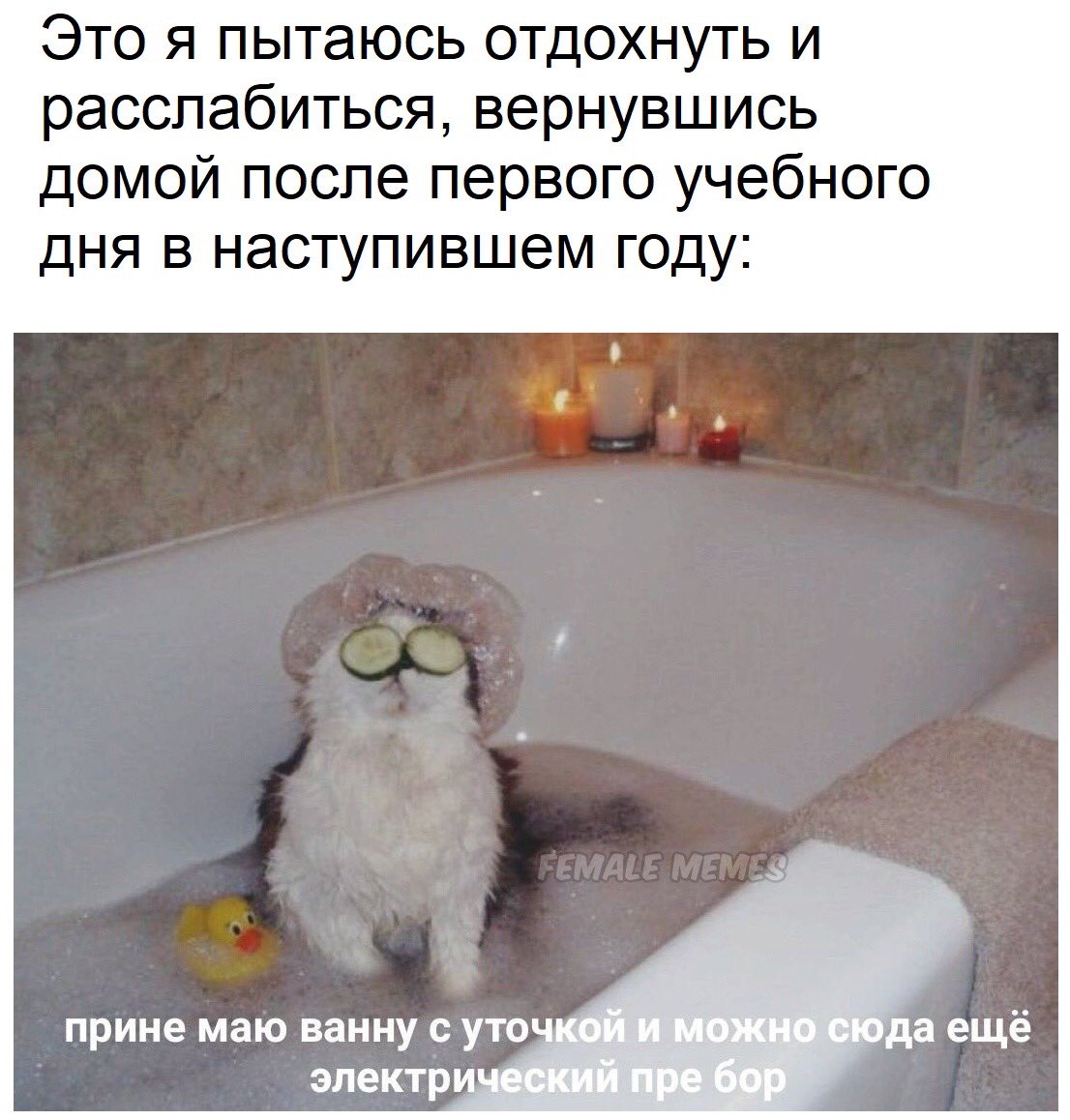 Мемы с ванной