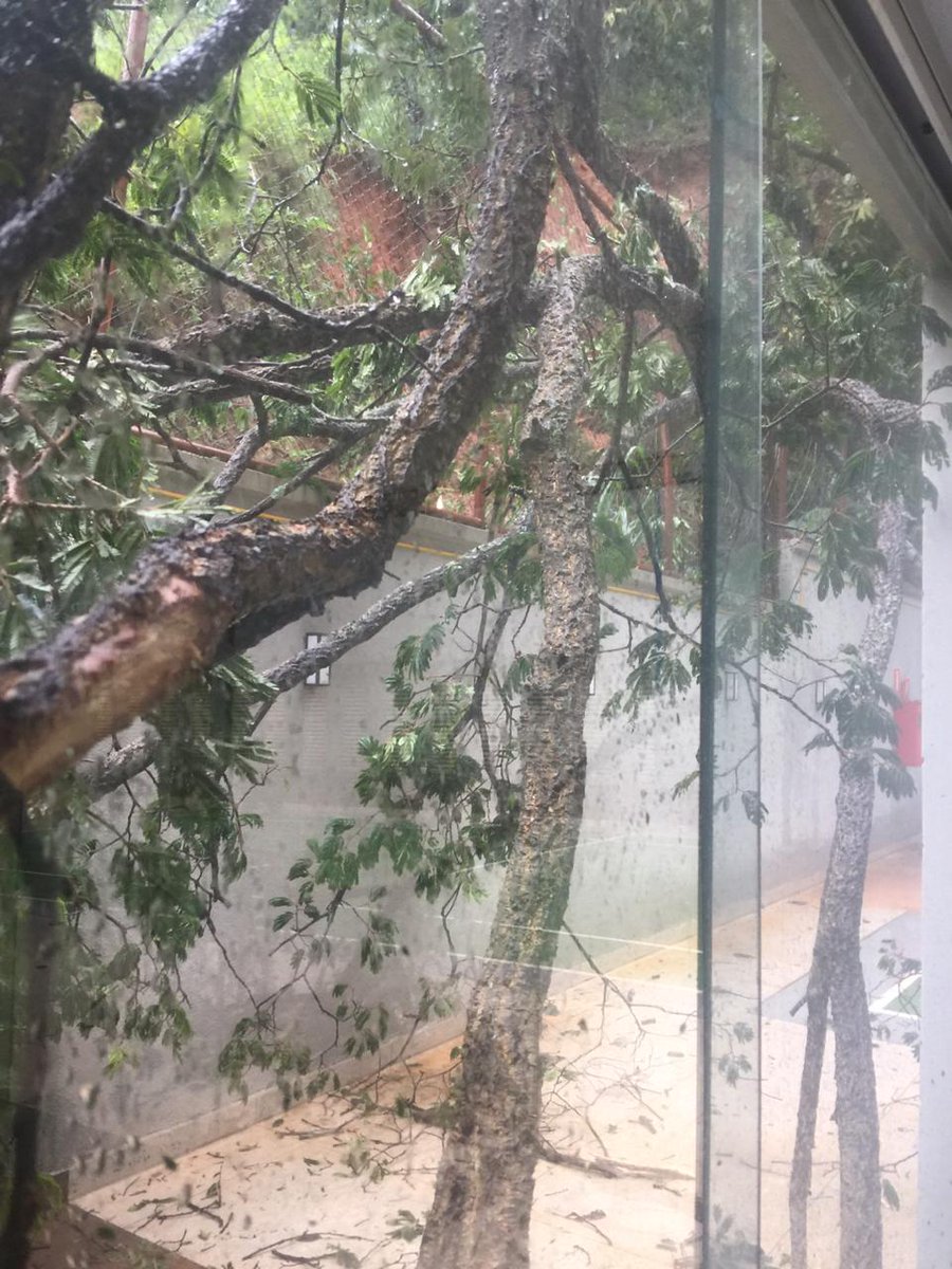 JJ_BH's tweet photo. @defesacivilbh @Bombeiros_CBMMG  atenção para o barranco na Rua Benjamin Jacob no Gutierrez! Deslizamento de terra com queda de árvores. https://t.co/tR7or8MCmv