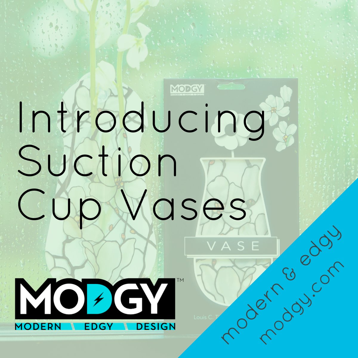 ModgyCo's tweet photo. Have you seen the latest and greatest from #Modgy?? We've come out with a great product for your small spaces. This suction cup vases can be placed on any flat, nonporous surface and hold a fresh flower to brighten your day! https://t.co/cUFZTyUMdM https://t.co/4tc3S0S0lc