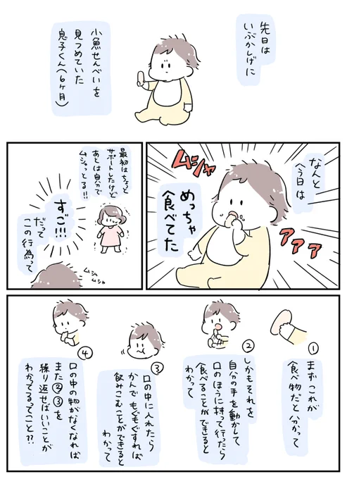 息子(6ヶ月)と小魚せんべいの衝撃 