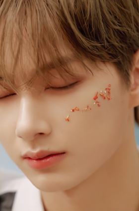 爆買い！】 SEVENTEEN 舞い落ちる花びら HMV ジュン トレカ