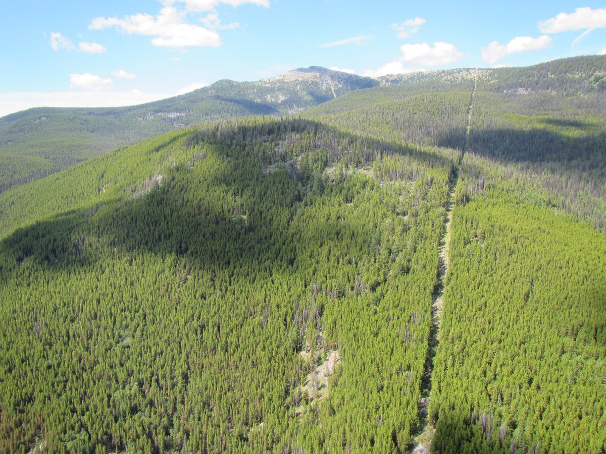 RNCan's tweet photo. Comment s’y prend-on pour refaire l’arpentage d’un tronçon de 400 km de la frontière Yukon-Alaska?

Notre arpenteur vous l’explique dans le récit de son expédition! ➡️ https://t.co/ZqgVqQqVIo #ScienceSimplement https://t.co/cgbWxNUMOP