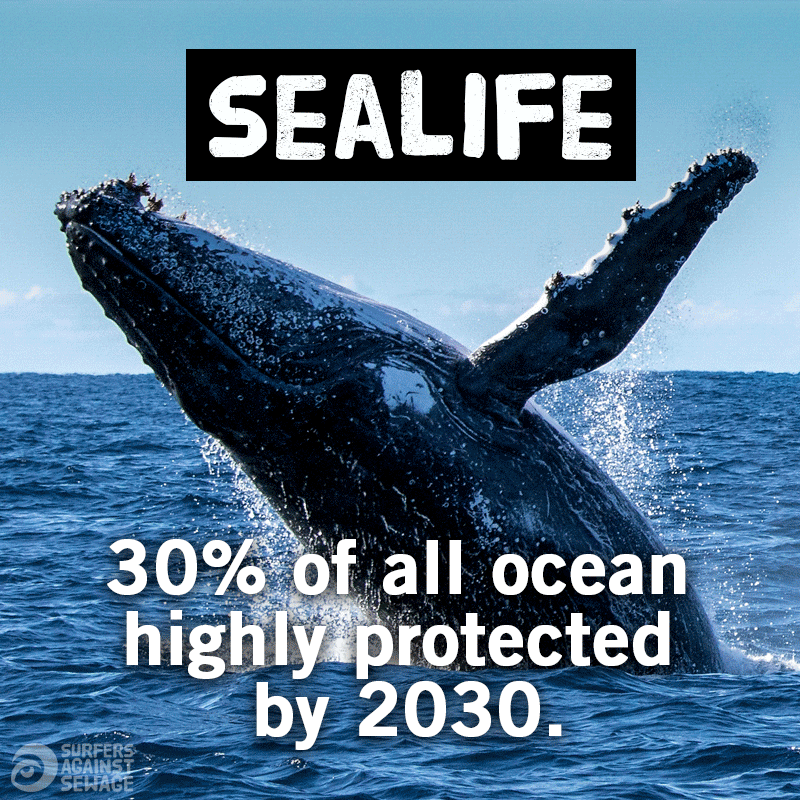 30% of ocean to be highly protected