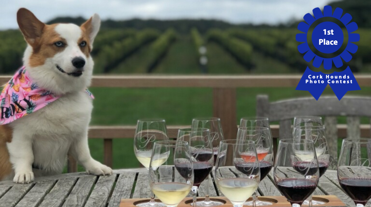 Congrats to our photo contest winner Roxy Weeks and her owners Jessica Weeks &amp; John Bryant. They recently enjoyed a wine day at <a href="/paumanokwine/">Paumanok Vineyards</a> in Aquebogue, NY. You can be a winner too. Enter our photo contest: corkhounds.com/#photocontest