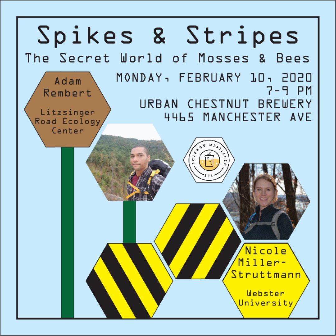 Science Distilled STL (@scidistilledstl) on Twitter photo Curious about green fuzz & things that go "buzz"?
Join us for our first #SciDistilledSTL of 2020, featuring mosses & bumblebees thanks to Adam Rembert of <a href="/mobotgarden/">MO Botanical Garden</a>'s <a href="/LRECStL/">Litzsinger Road Ecology Center</a> & <a href="/NMStruttmann/">Nicole Miller-Struttmann</a> of <a href="/websteru/">Webster University</a>.
Hope to see y'all Feb. 10th, 7PM, <a href="/urbanchestnut/">UrbanChestnutBrewing</a>'s Grove location. Curious about green fuzz & things that go "buzz"?
Join us for our first #SciDistilledSTL of 2020, featuring mosses & bumblebees thanks to Adam Rembert of <a href="/mobotgarden/">MO Botanical Garden</a>'s <a href="/LRECStL/">Litzsinger Road Ecology Center</a> & <a href="/NMStruttmann/">Nicole Miller-Struttmann</a> of <a href="/websteru/">Webster University</a>.
Hope to see y'all Feb. 10th, 7PM, <a href="/urbanchestnut/">UrbanChestnutBrewing</a>'s Grove location.