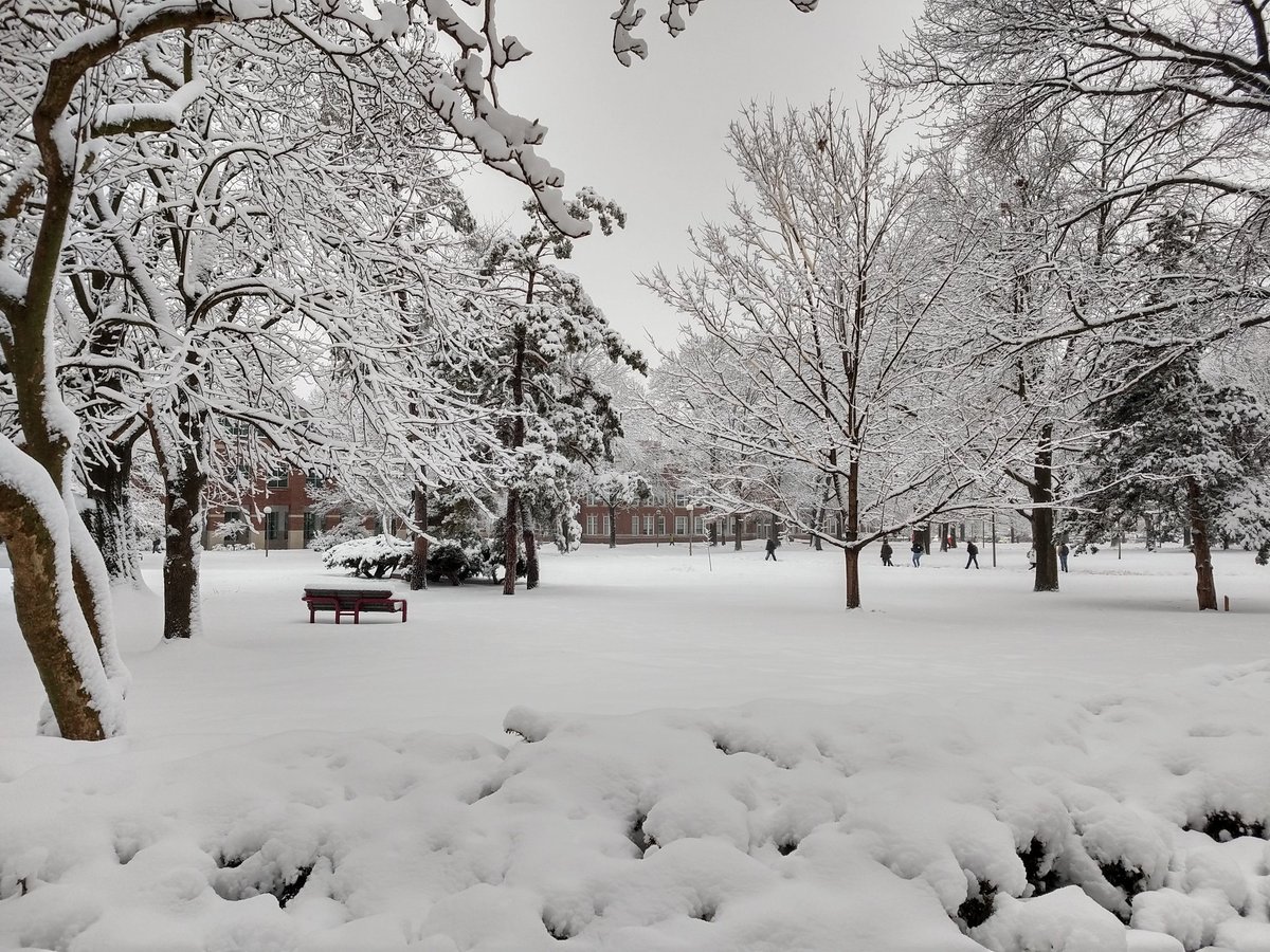 Truman Photos (@trumanphotos) on Twitter photo 