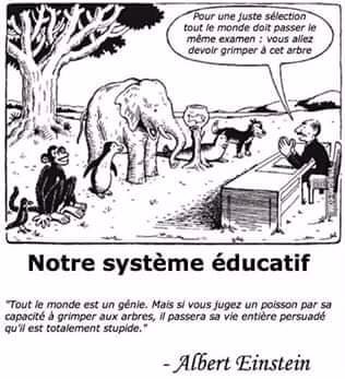ASanward's tweet photo. "Notre système éducatif doit changer pour épouser les questions qui affecte de manière critique,  nous société Africaine. Si non, on va aller droit au mur avec le boum démographique Africain d'ici 2050."

                        - Amidissini Sanward https://t.co/p8234op3VO