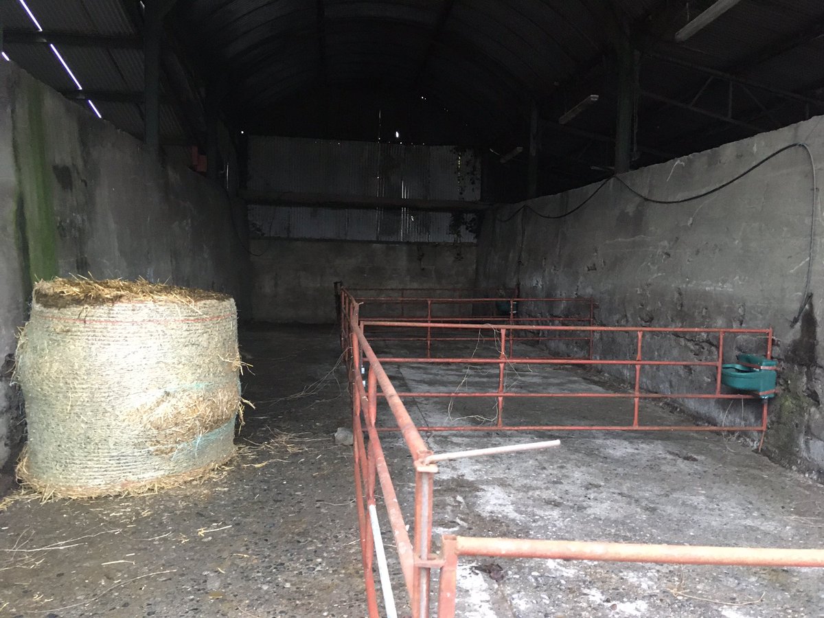 Hylo67's tweet image. Preparations for #calving20 stepped up a gear here for next week #teamdairy
