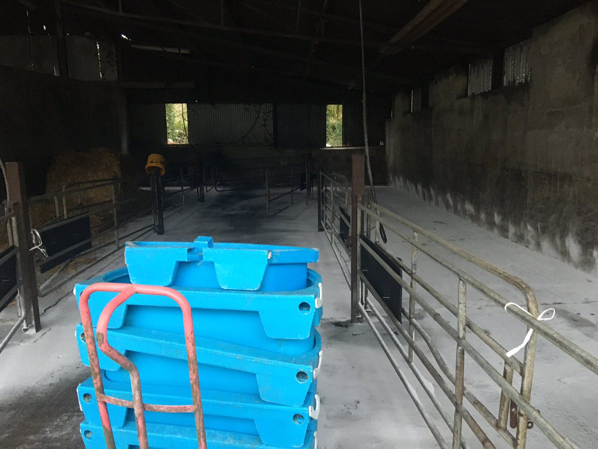 Hylo67's tweet image. Preparations for #calving20 stepped up a gear here for next week #teamdairy